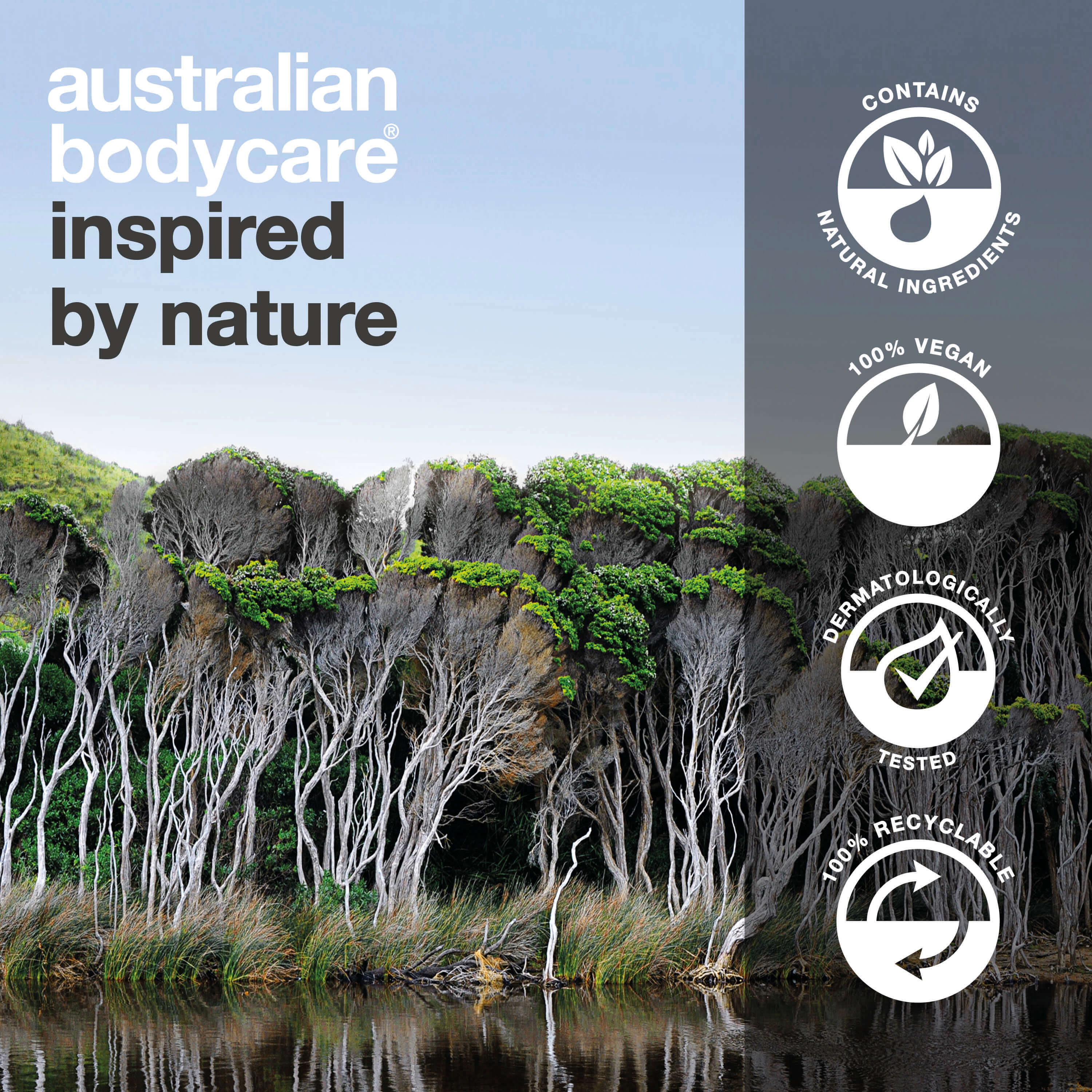 100% Pure Australische Tea Tree Olie — natuurlijke Tea Tree Oil uit Australië - Image 7